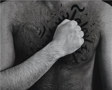 Photography, Shirin Neshat, My House Is on Fire, 2012, 24456