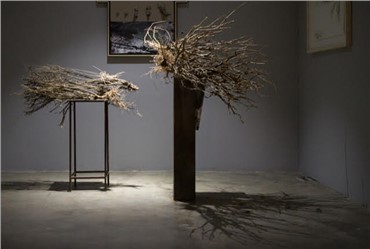 Installation, Shaqayeq Arabi, Untitled, , 20185