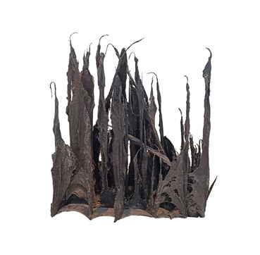 Maryam Behrouzinia, Untitled, 2023, 0