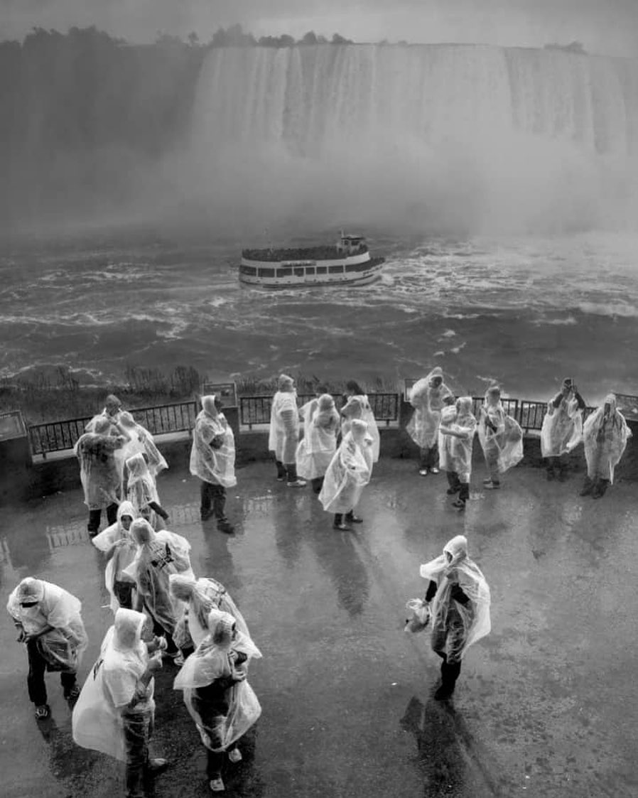 Majid Barzegar, Untitled, 0