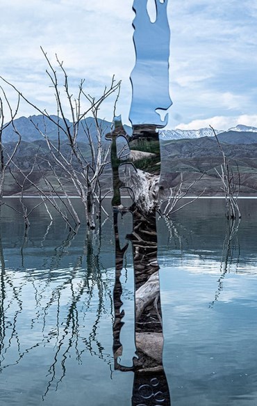 , Bibi Manavi, Memory of Walnut Trees, 2021, 79275