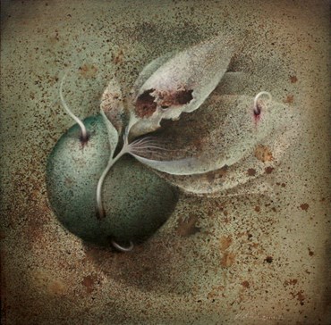 Painting, Vahid Chamani, Untitled, 2023, 77073