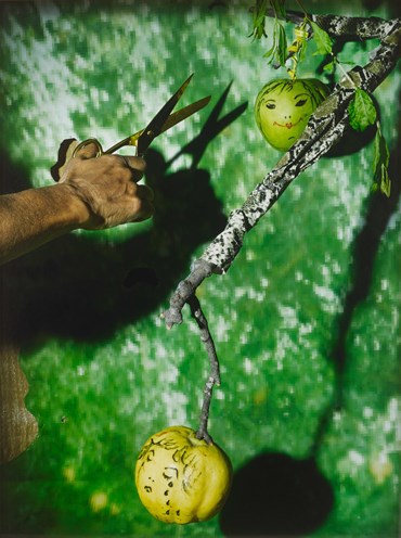 , Sheida Soleimani, Crying Quince, Laughing Apple, 2022, 64431