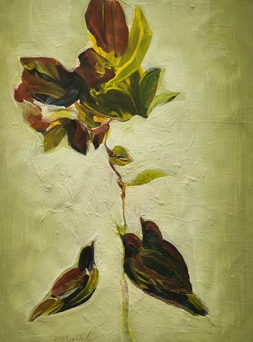 , Sheida Gholipour, Untitled, , 81000