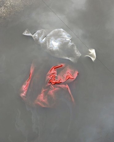 , Anca Munteanu Rimic, Palermo, 2025, 81404