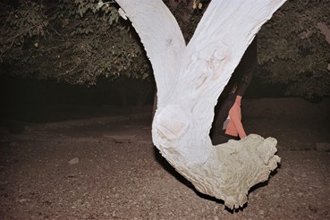 Shima Rastin, Untitled, 2021, 0