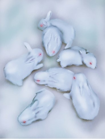 , Louisa Gagliardi, Follow the White Rabbits, 2020, 46207