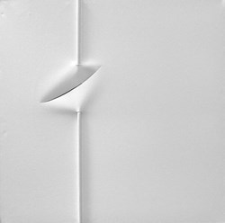 home-scroll-8-1