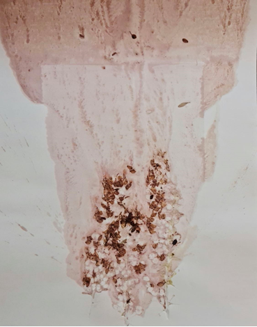 Heecha, Untitled, 0, 0