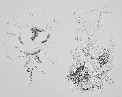 Monir Shahroudy Farmanfarmaian, Poppy and Fern, 1986