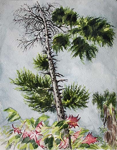 Saeid SaadatNia, Untitled, 0