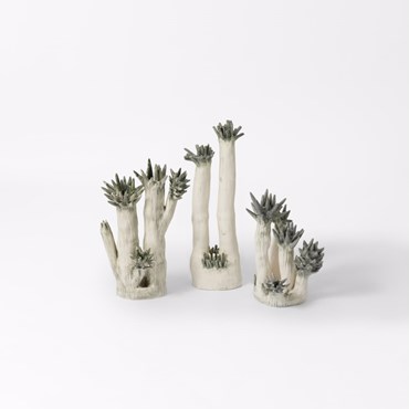 , Zohreh Kamsary, Emerge of Growth, 2025, 83286