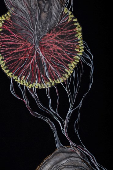 Leila Gazor, Untitled, 0, 0