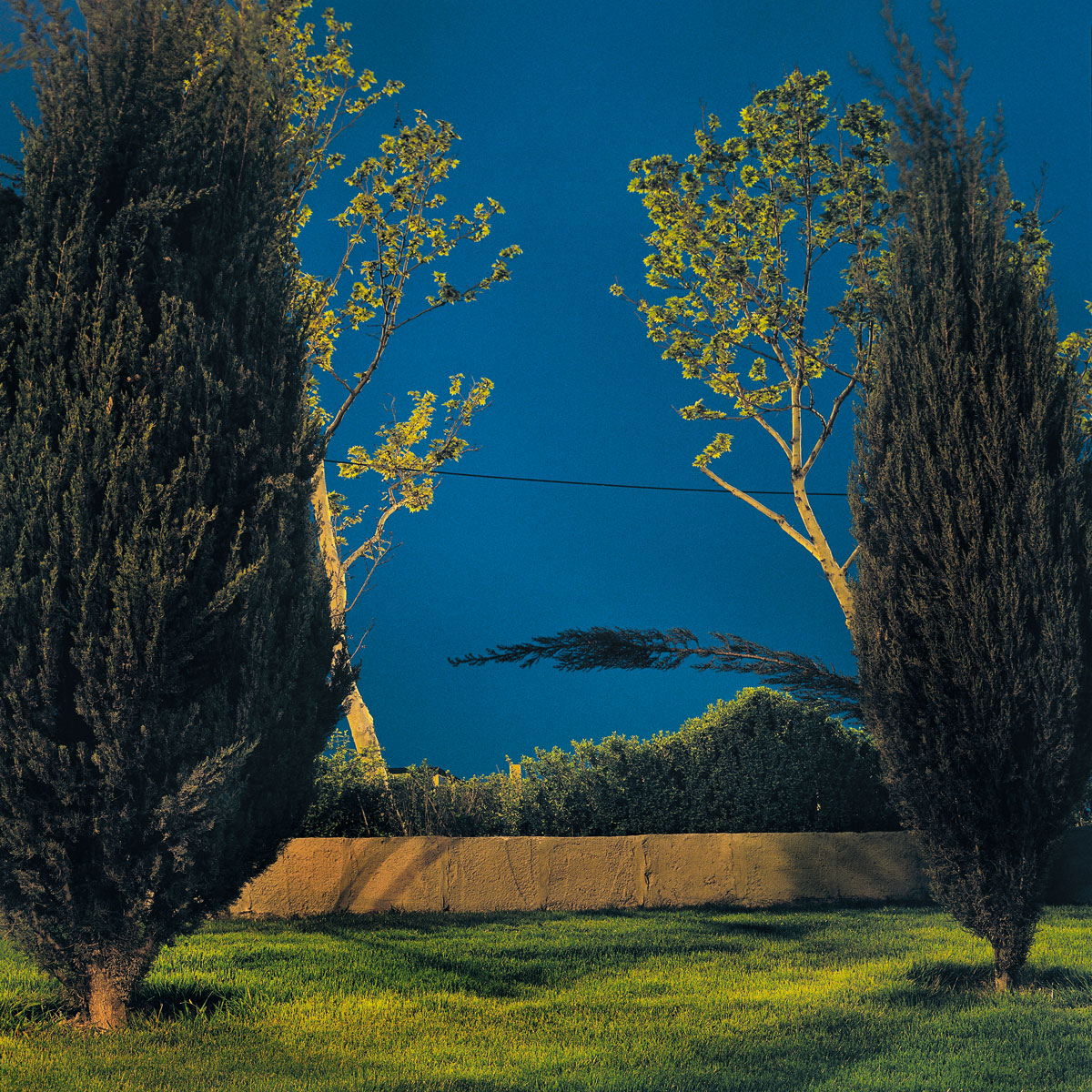 Shahryar Tavakoli, Sarv Park, 2000