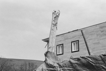 Photography, Kimia Askarian, Untitled, 2021, 76103