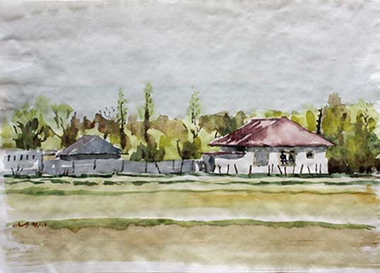 Saeid SaadatNia, Untitled, 0