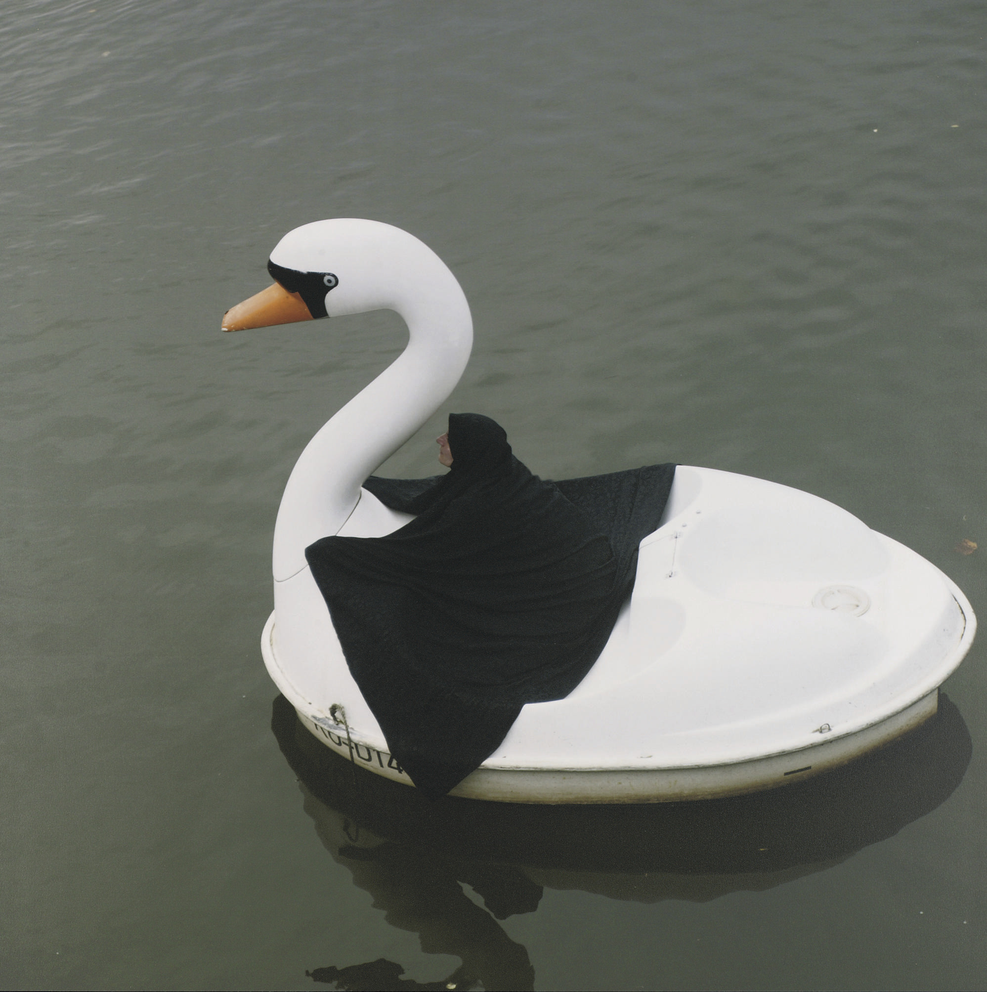 Parastou Forouhar, Swan Rider, 2004