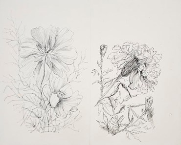 Drawing, Monir Shahroudy Farmanfarmaian, Hibiscus and Carnation, 1984, 52303