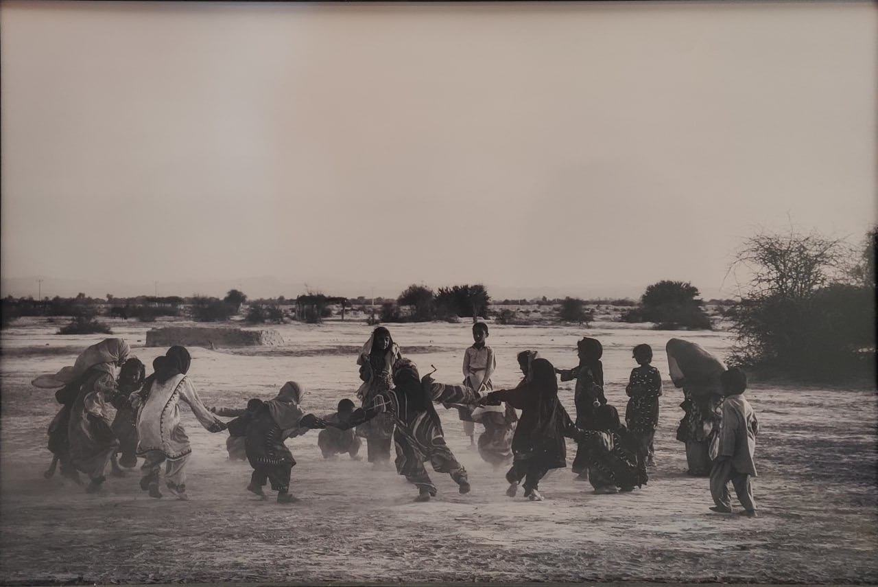 فاطمه گشانی