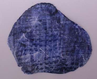 Marjan Baniasadi, Ashe's of the Past, 2019, 0