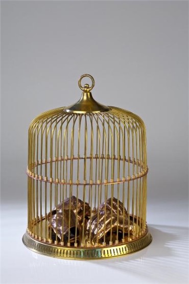 Sculpture, Nastaran Safaei, Cage, 2012, 6505