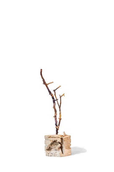 Hedie Khanali, Untitled, 2020, 0