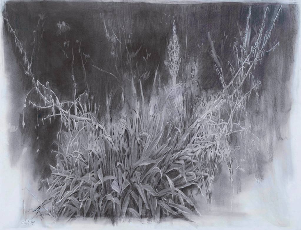 Mina Ghaziani, Untitled, 2023