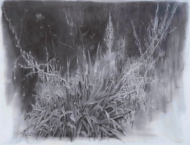 Mina Ghaziani, Untitled, 2023, 0