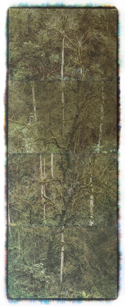 home-scroll-8-4