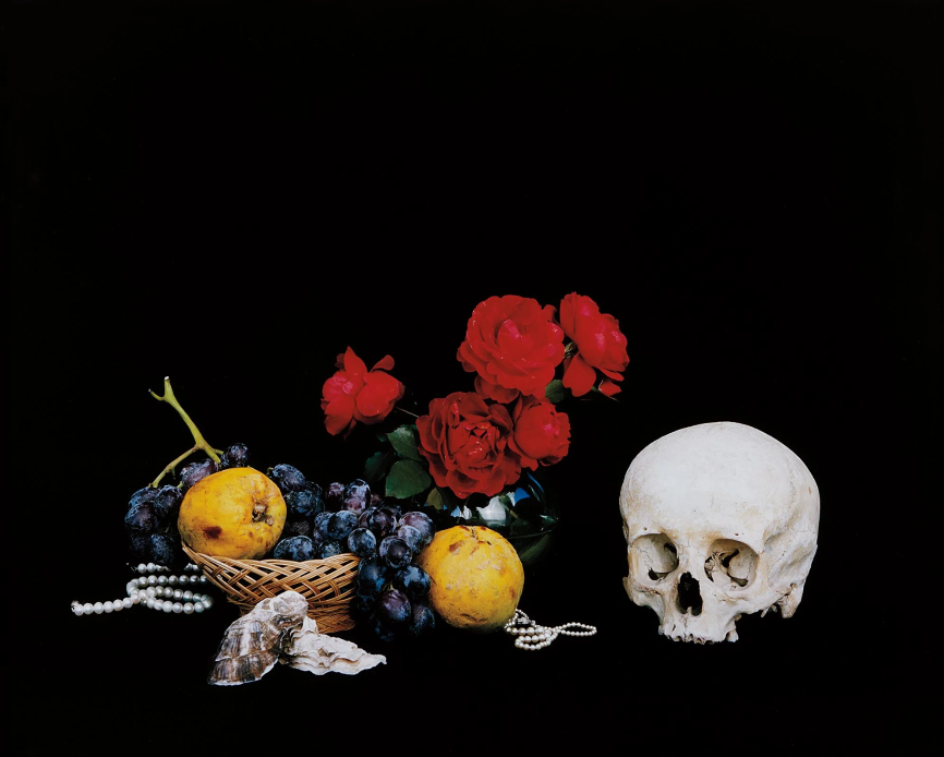 Shirana Shahbazi, Stilleben-14-2007, 2007