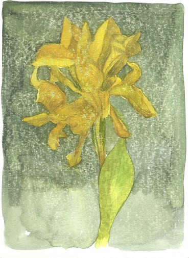 Painting, Hosein Shirahmadi, Flowers no.5, 2020, 38217