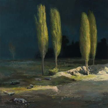 Painting, Amin Nourani, Untitled, 2019, 22660