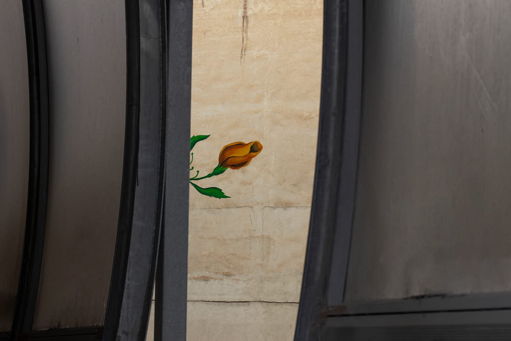Rasa Hezarkhani, Untitled, 2018