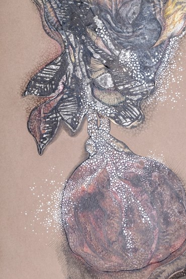 Leila Gazor, Untitled, 0, 0