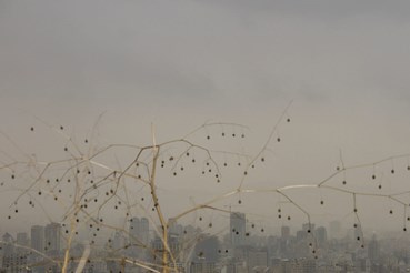 Rasa Hezarkhani, Untitled, 2017, 0