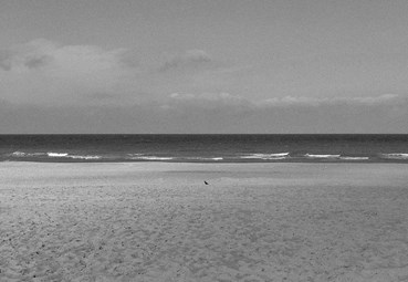 Photography, Mohsen Shahmardi, Untitled, 2023, 78906