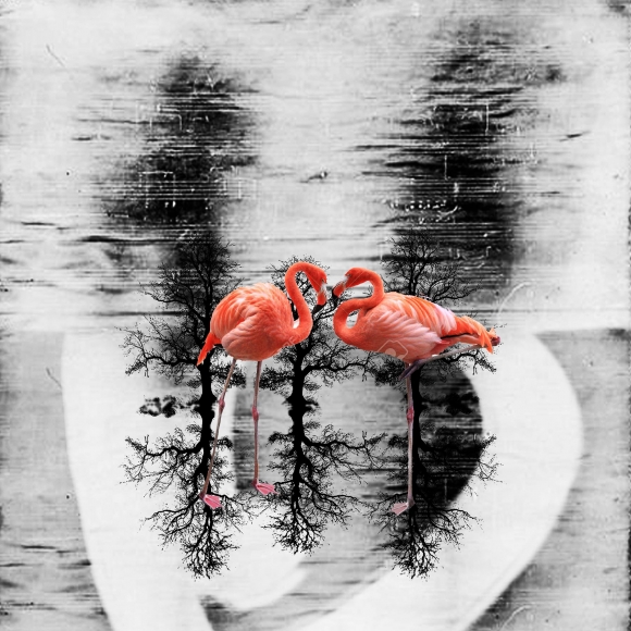 Sepideh Sahar, Untitled, 2018