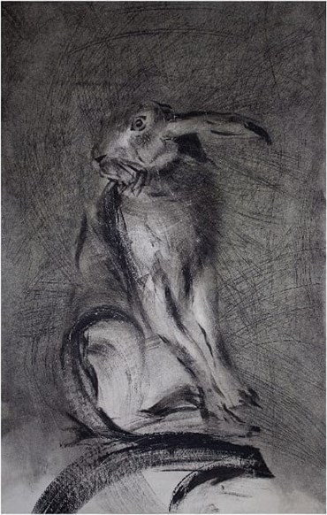 Drawing, Leila Vismeh, The Rabbits Who Caused All the Trouble, 2020, 25559
