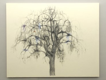 Drawing, Avish Khebrezadeh, Wish Tree, 2011, 40855