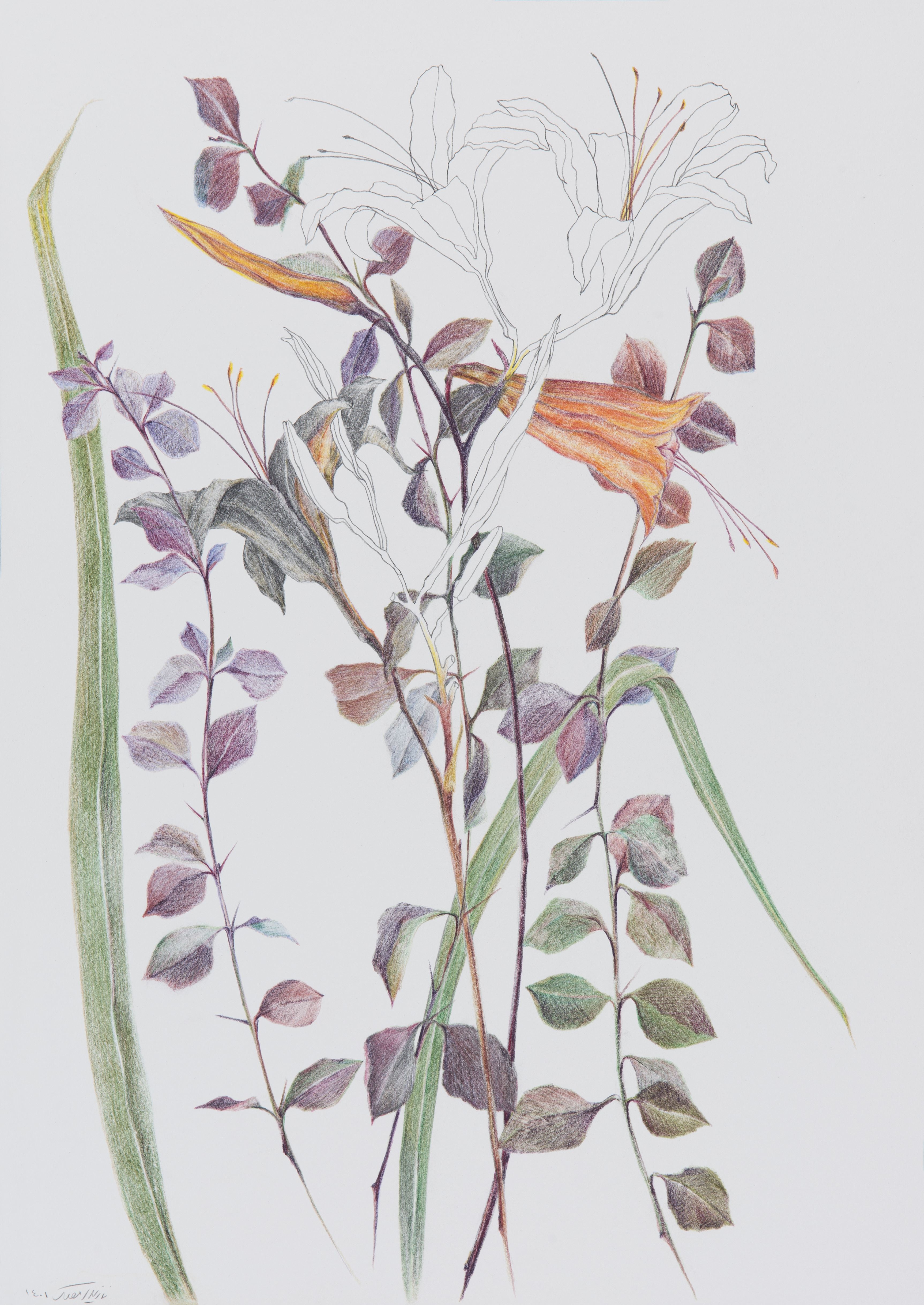 Nazila Moghadam, Untitled, 2022