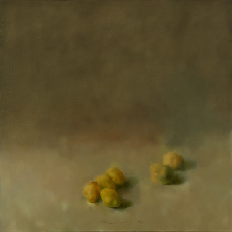 Hamidreza Andarz, Untitled, 2011