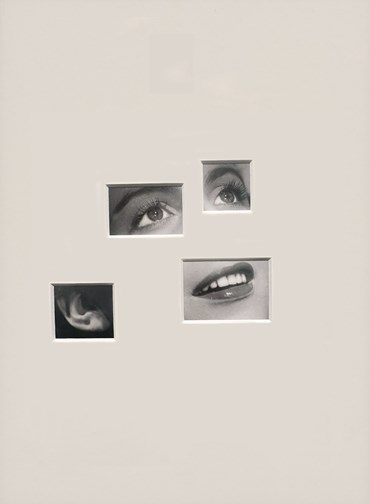 Photography, Sissi Farassat, Ingeborg, 2025, 78835