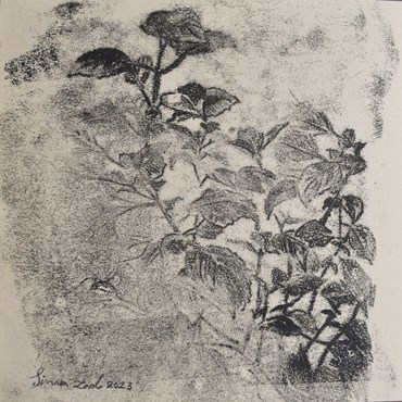 Sima Bagherzadeh, Untitled, 0, 0