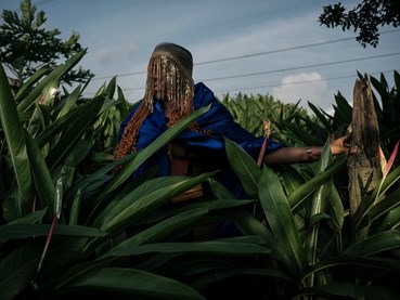 Photography, Newsha Tavakolian, Untitled, , 80210