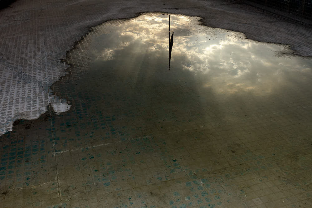 Rasa Hezarkhani, Untitled, 2017