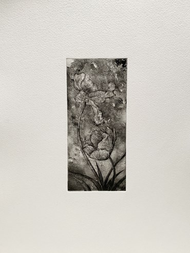 Printmaking, Mehdi Babaei, Untitled, 2023, 82727