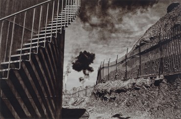 Photography, Babak Kazemi, A Report For d'Arcy, , 80185