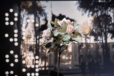 , Amir Habibi, Postcards from Home, 2026, 83279