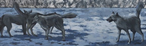 Saghar Pezeshkian, Untitled, 0