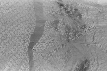 Photography, Kimia Askarian, Untitled, 2021, 68252